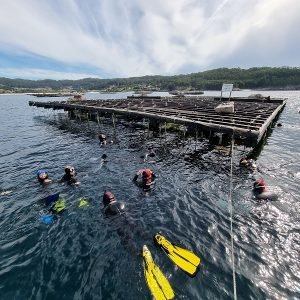 snorkel en la ria de aldan